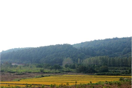 797B31ED@F055BB55.82062661.png.jpg.png