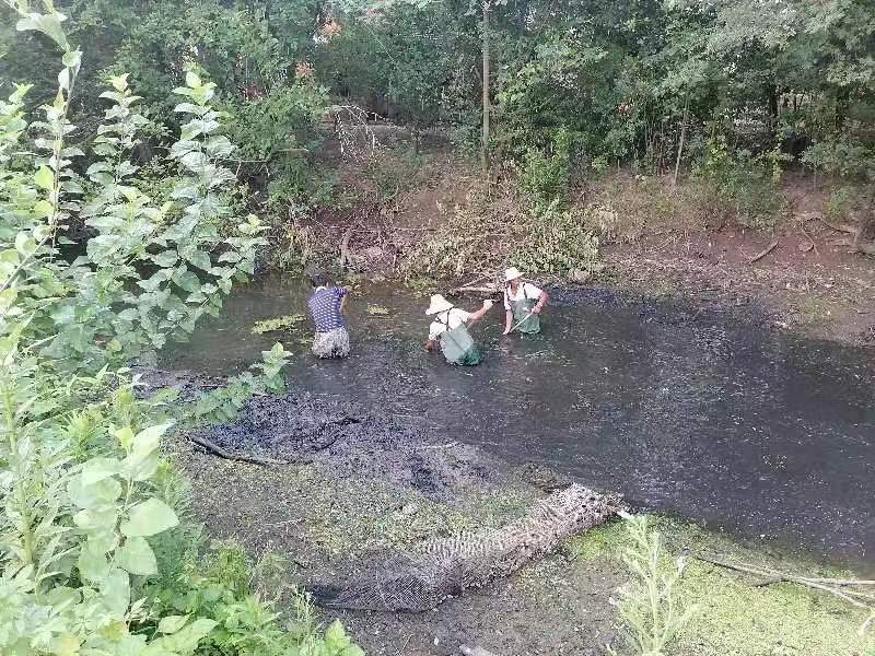 圖片8.png