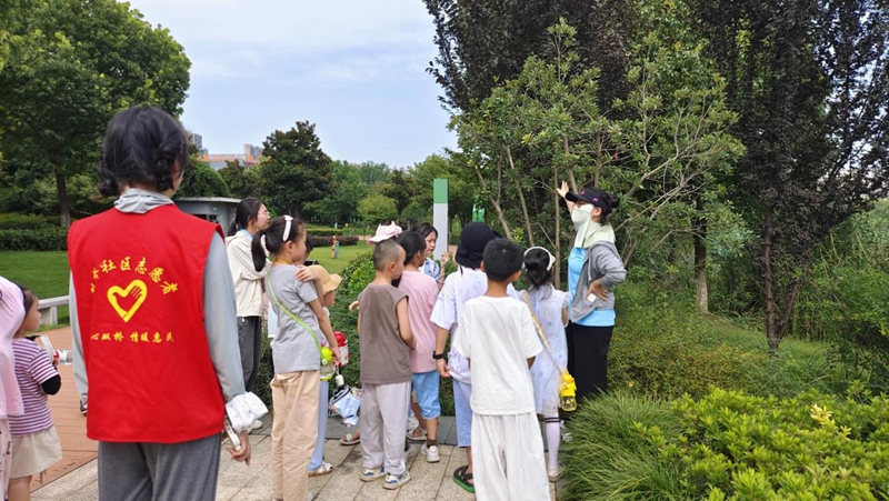 圖片11.jpg
